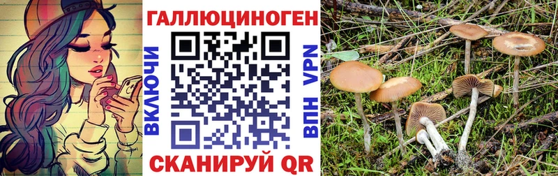 Галлюциногенные грибы мицелий Заволжск